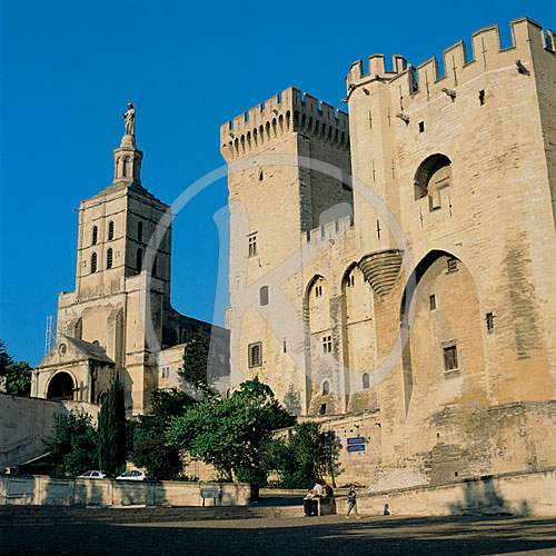 Papstpalast/Kathedrale Notre-Dame-des-Doms, Avignon, Vaucluse, P