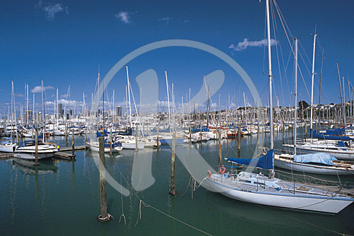 Neuseeland, Auckland, Yachthafen