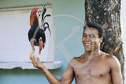 Dominikanische Republik, Santa Domingo, Einheimischer mit Kampfh