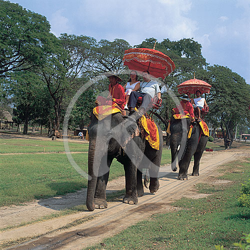 Ayuthaya, Elefantenreiten, Thailand
