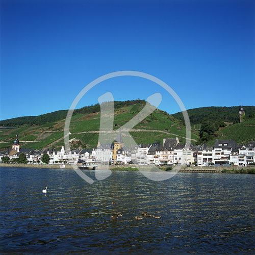 Mosel und Stadt, Zell, Mosel, Rheinland-Pfalz, Deutschland