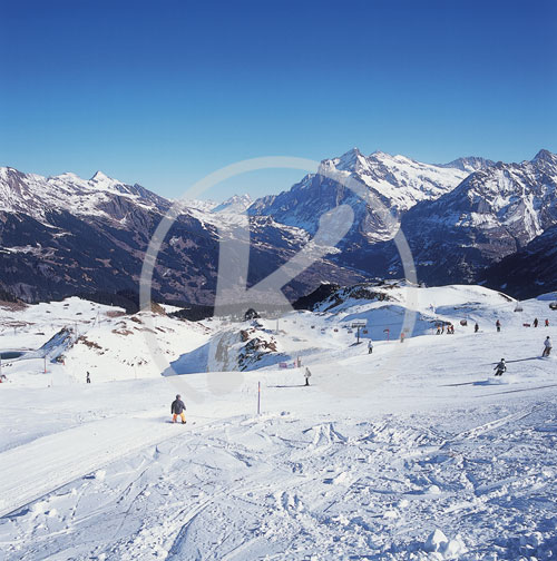 Skifahren, Kleine Scheidegg, Grindelwald