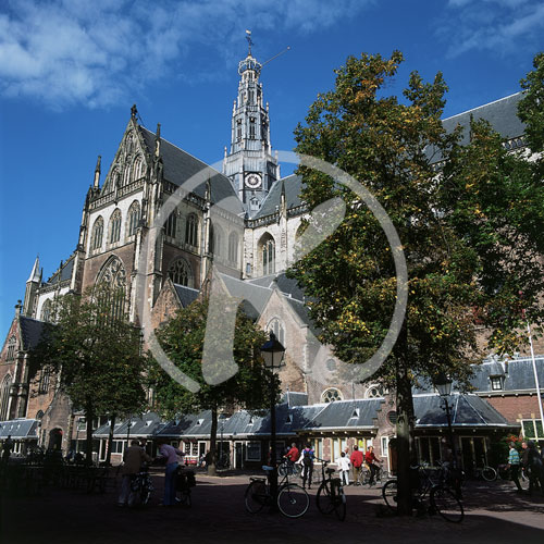 Grote Kerk, St Bavokerk, Grote Markt, Haarlem