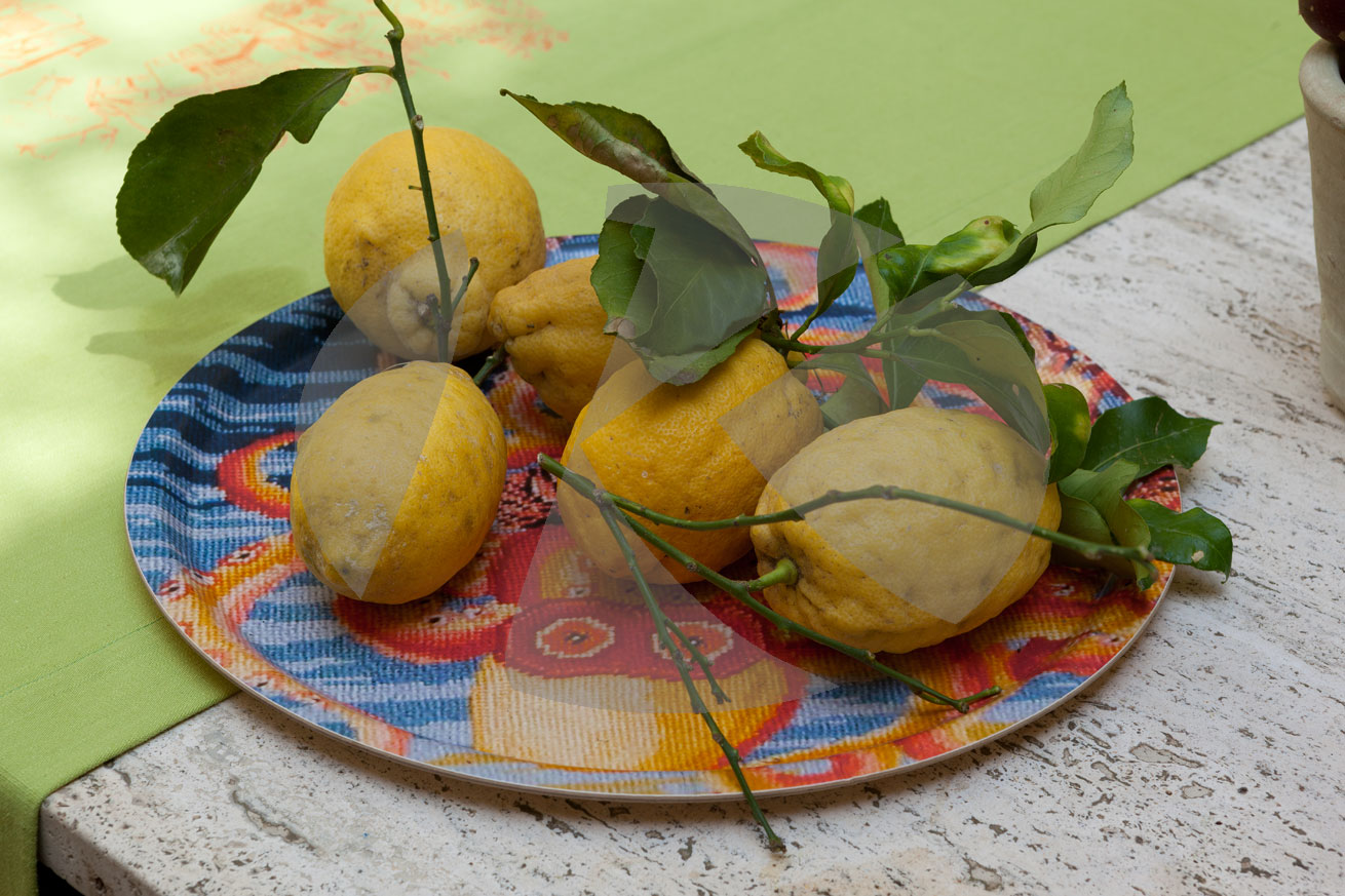 Limonen, Capri-Stadt, Insel Capri, Italien