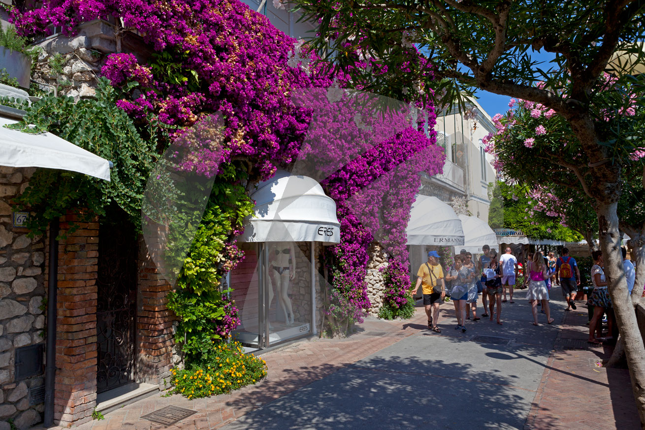 Via Camerelle, Capri-Stadt, Insel Capri, Italien