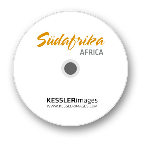 DVD Südafrika